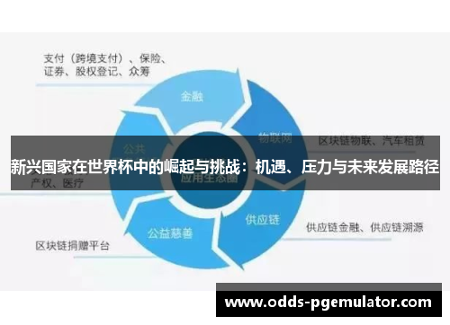 新兴国家在世界杯中的崛起与挑战：机遇、压力与未来发展路径