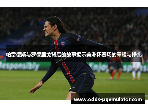 帕雷德斯与罗德里戈背后的故事揭示美洲杯赛场的荣耀与挣扎