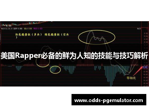 美国Rapper必备的鲜为人知的技能与技巧解析