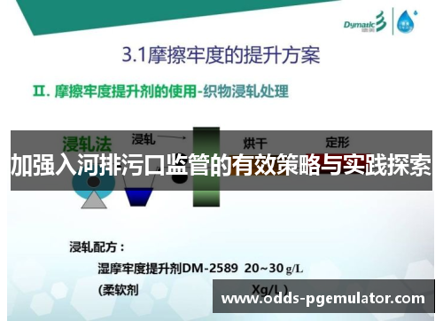 加强入河排污口监管的有效策略与实践探索