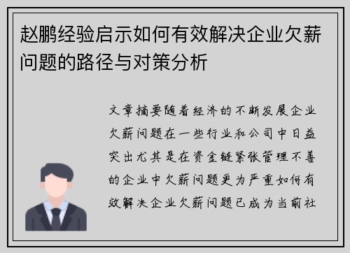 赵鹏经验启示如何有效解决企业欠薪问题的路径与对策分析
