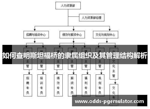 如何查明斯坦福桥的隶属组织及其管理结构解析