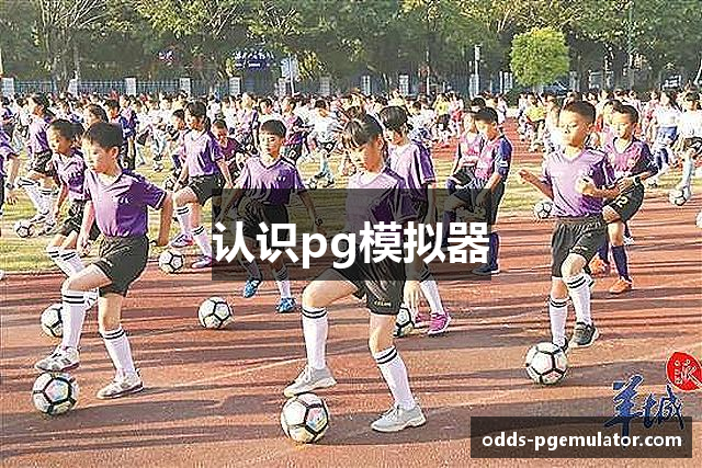 认识pg模拟器